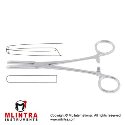 Presbyterian Tubing Clamp Stainless Steel, 18 cm - 7"